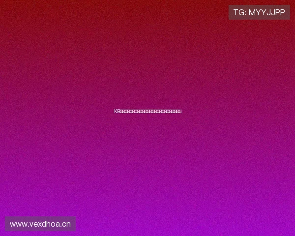 KB之家官网最新版全新上线，全面优化用户体验与服务功能